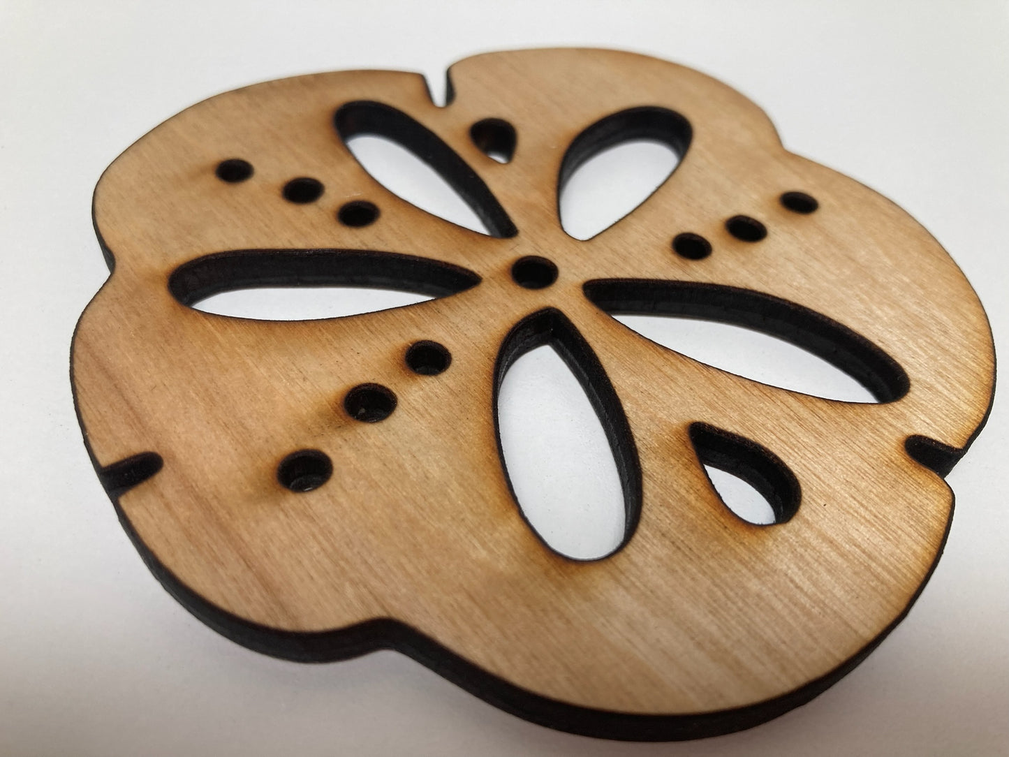 Sand Dollar Coasters